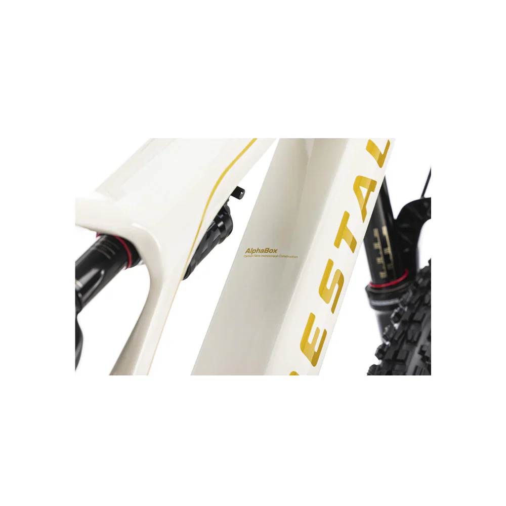 Bicicleta Electrica Forestal 29" Cyon Halo Crayon Grey - Image 4