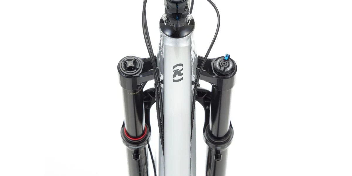 Bicicleta Kona Process 153 DL 29 Plata - Image 4