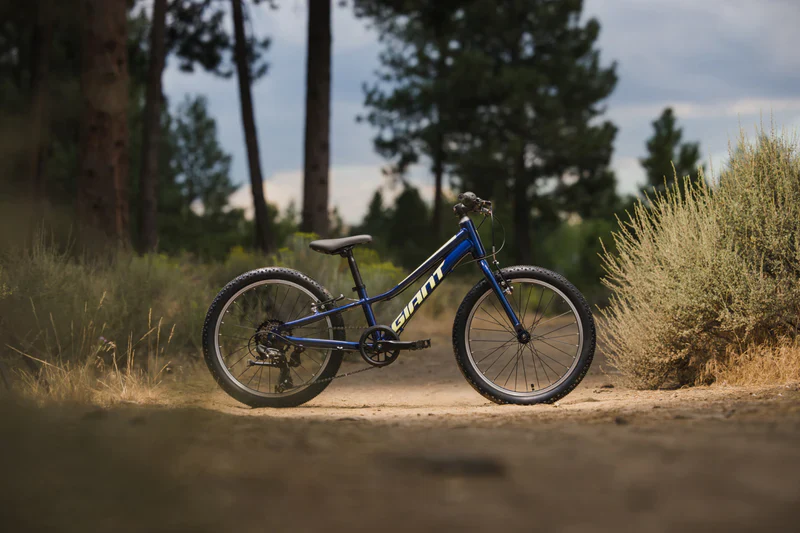 Bicicleta Niño Giant Talon 20 Lite My24 Eclipse - Image 7
