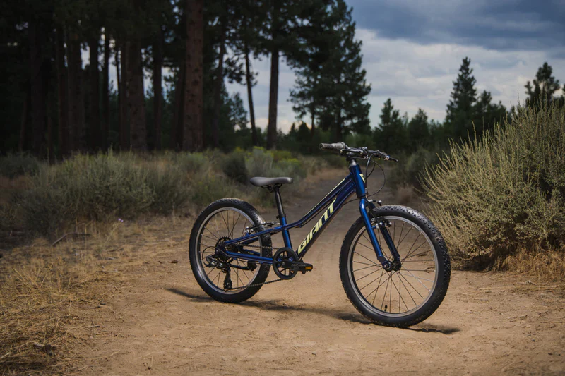 Bicicleta Niño Giant Talon 20 Lite My24 Eclipse - Image 8