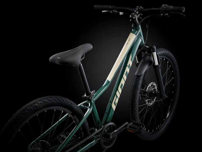 Bicicleta Niño Giant Talon 24 Disc My24 Trekking Green - Image 2