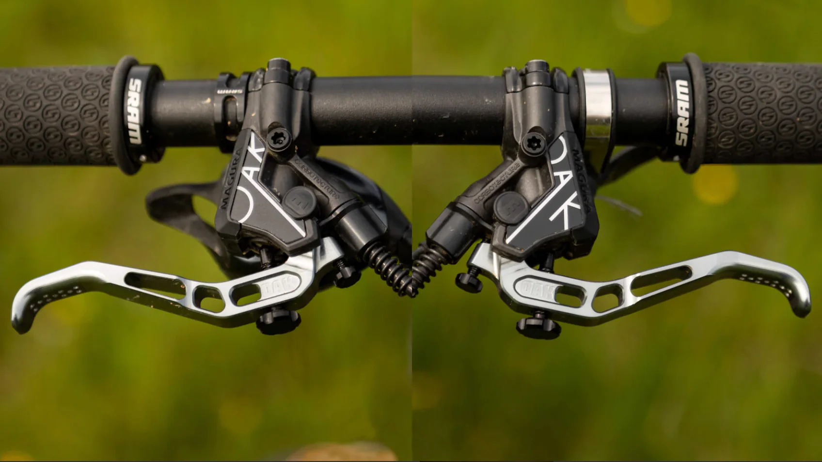 Cover Oak Master Magura Annual Ring - Image 4