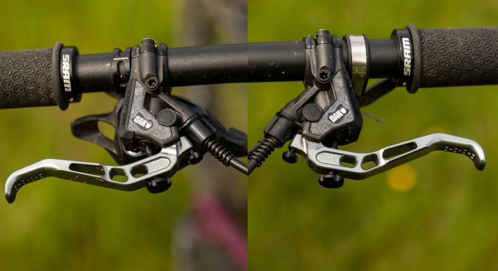 Cover Oak Master Magura Annual Ring - Image 6