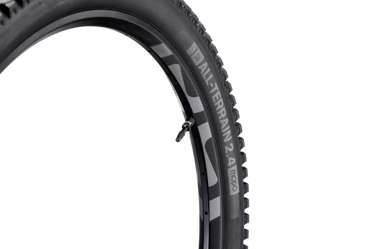 E.Thirteen Neumatico E.13 All-Terrain 29"X2.4" Dh Mopo