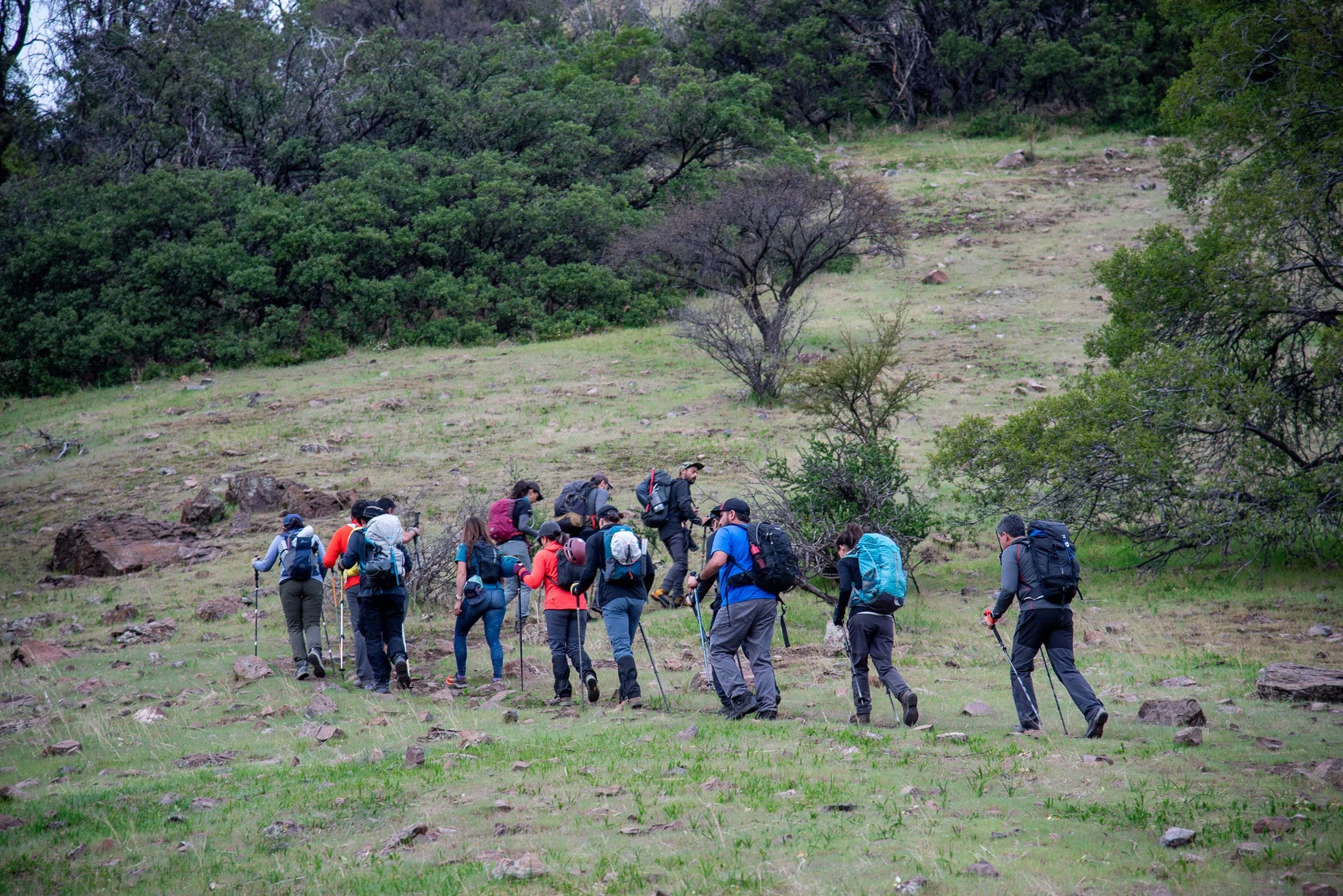 Subida al Cerro Canoitas - Image 6