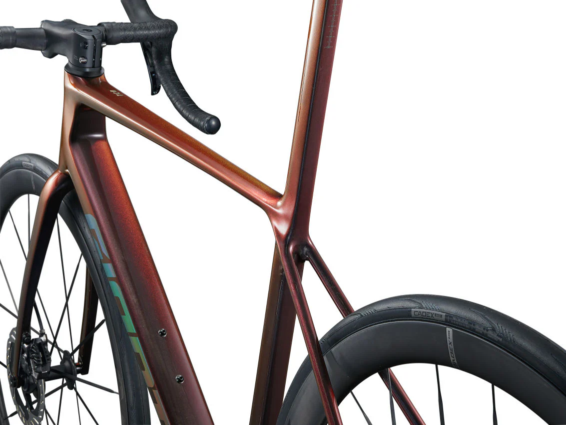 Giant Bicicleta Ruta TCR Advanced SL-0 DA | 2025 - Image 12