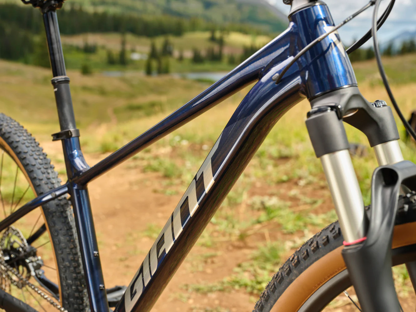 Giant Bicicleta Talon 29 0 My25 | Preventa Mayo 2026 - Image 4