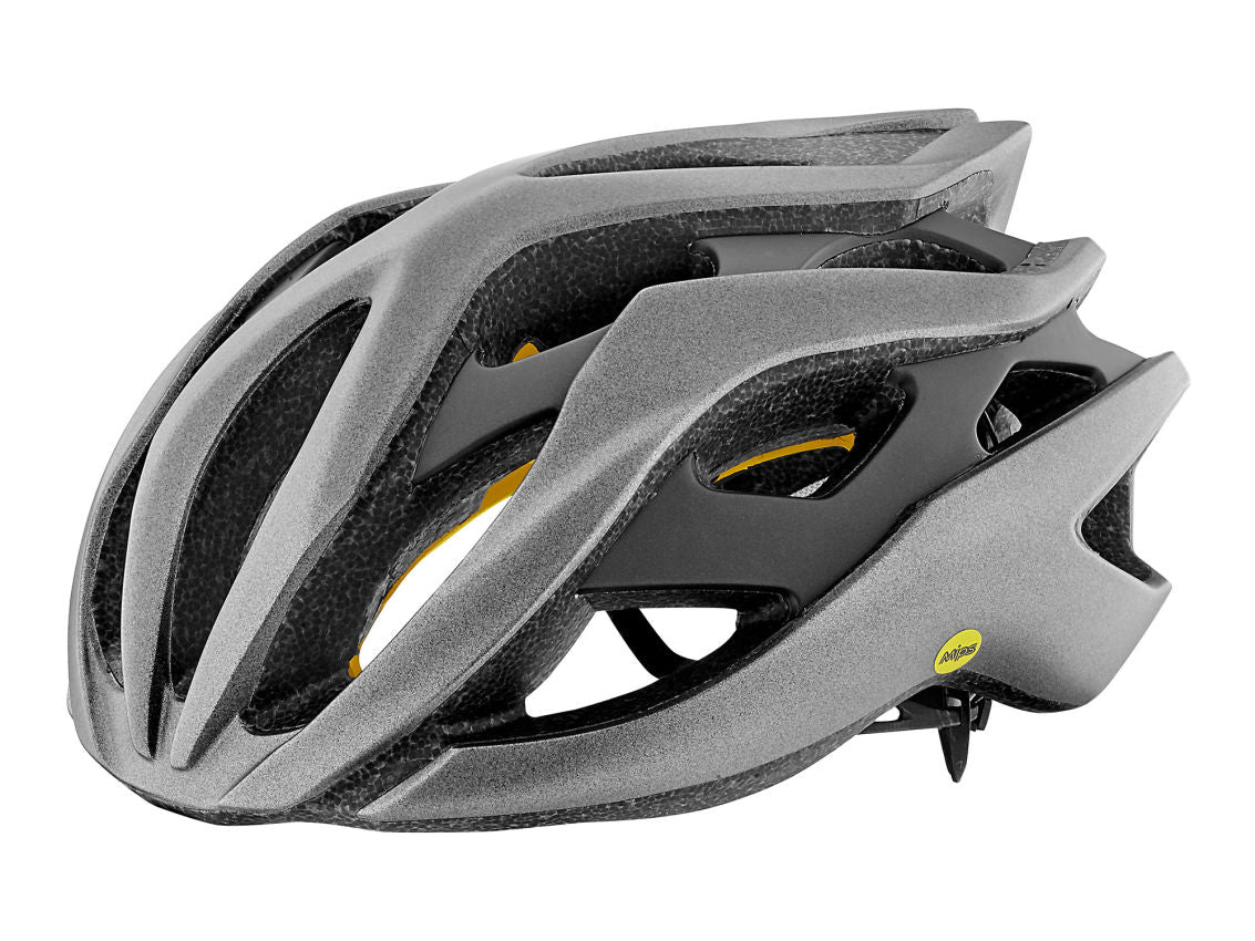 Giant Casco Rev Mips Matte Metallic Silver/Matte Black