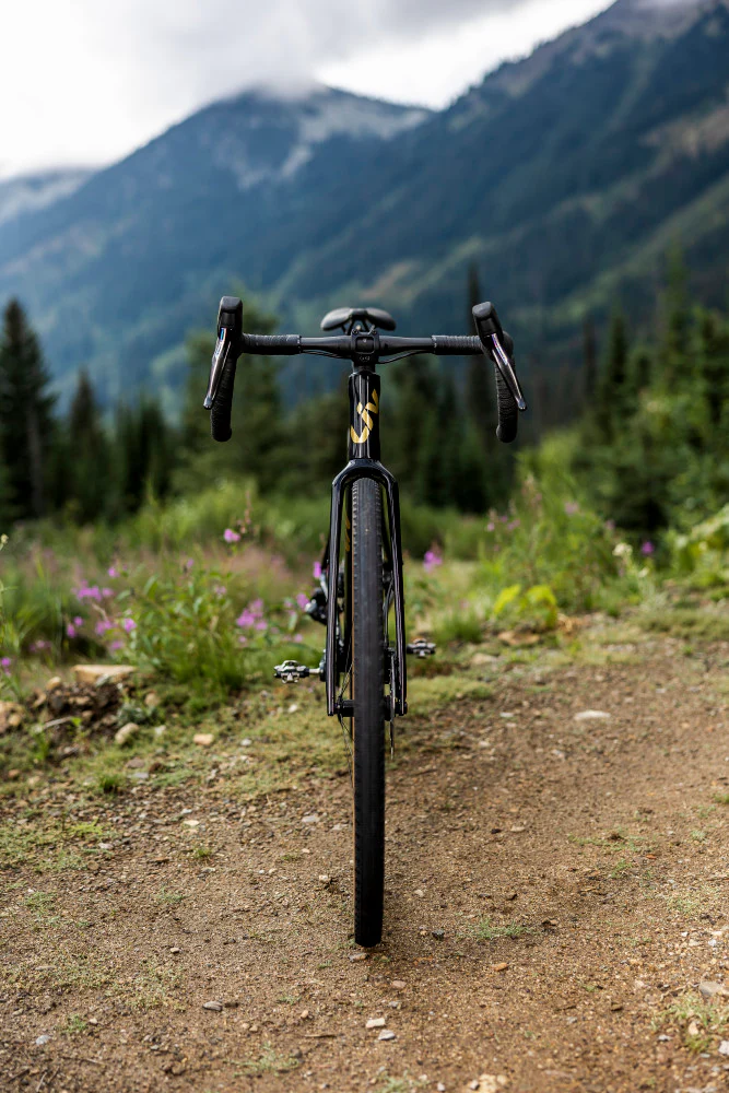 Bicicleta Ruta Liv Devote Advanced Pro My24 - Image 6