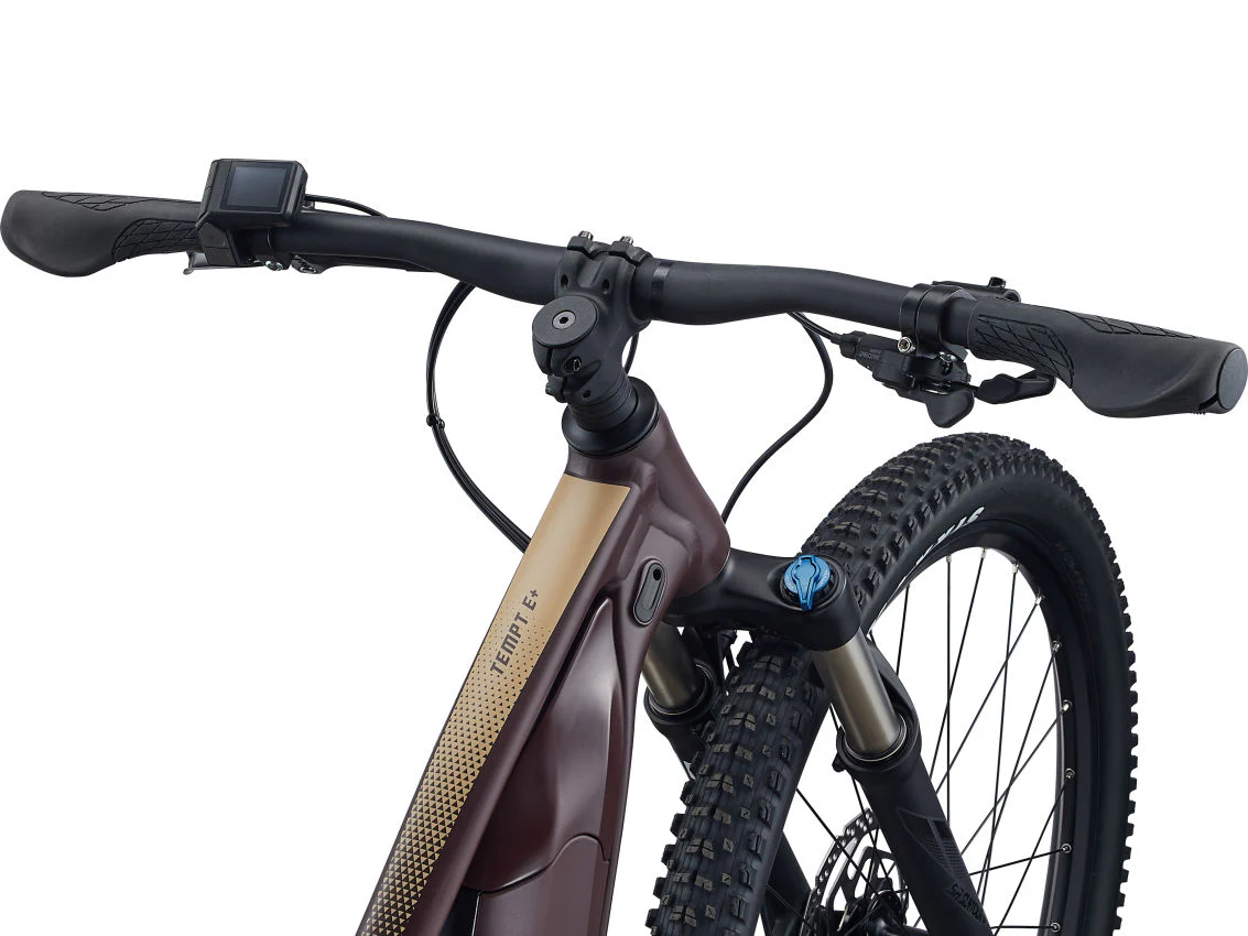 Bicicleta Eléctricas Liv Tempt E+ 1 Figuier - Image 2