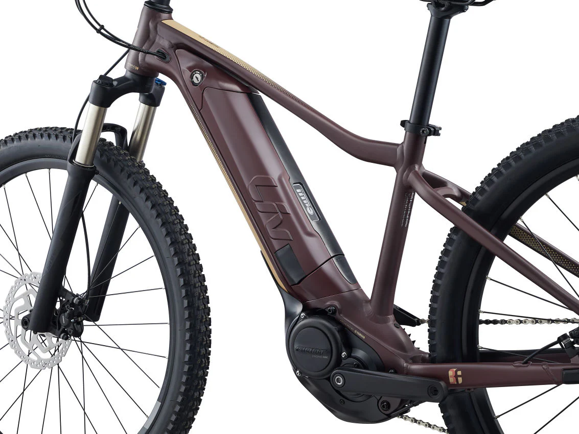 Bicicleta Eléctricas Liv Tempt E+ 1 Figuier - Image 5