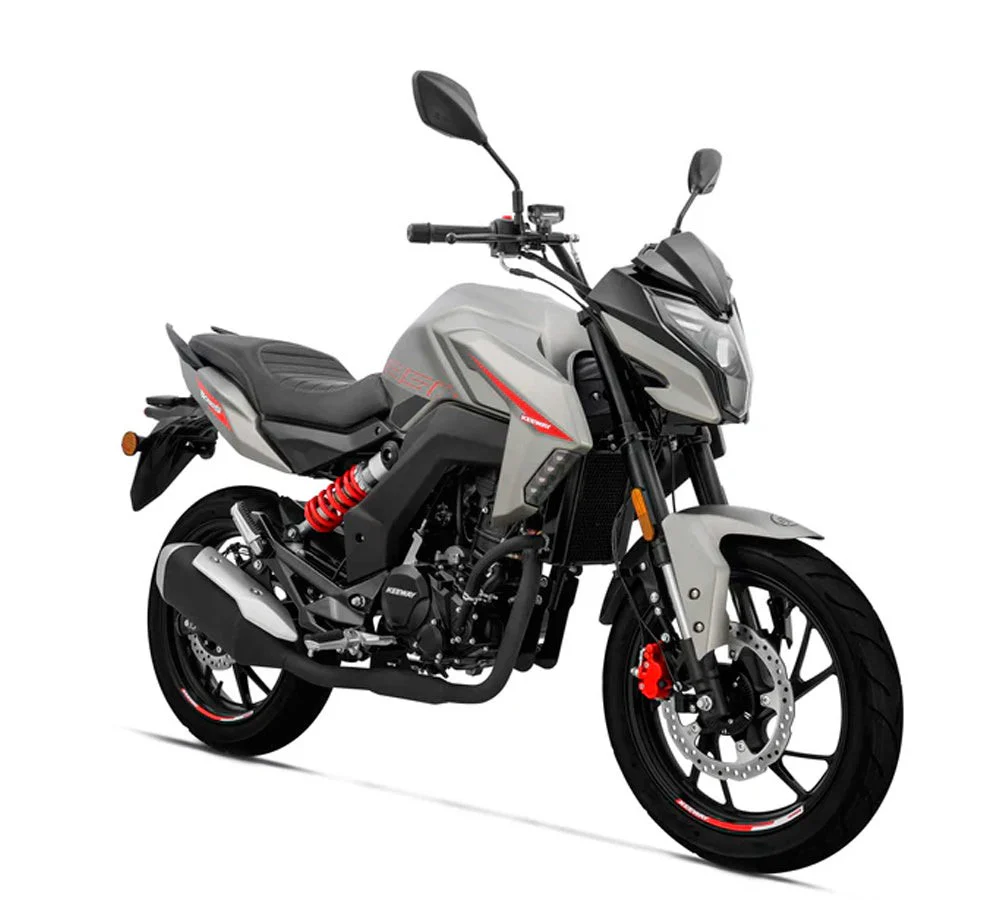 Motocicleta RK250S (color gris) | Keeway