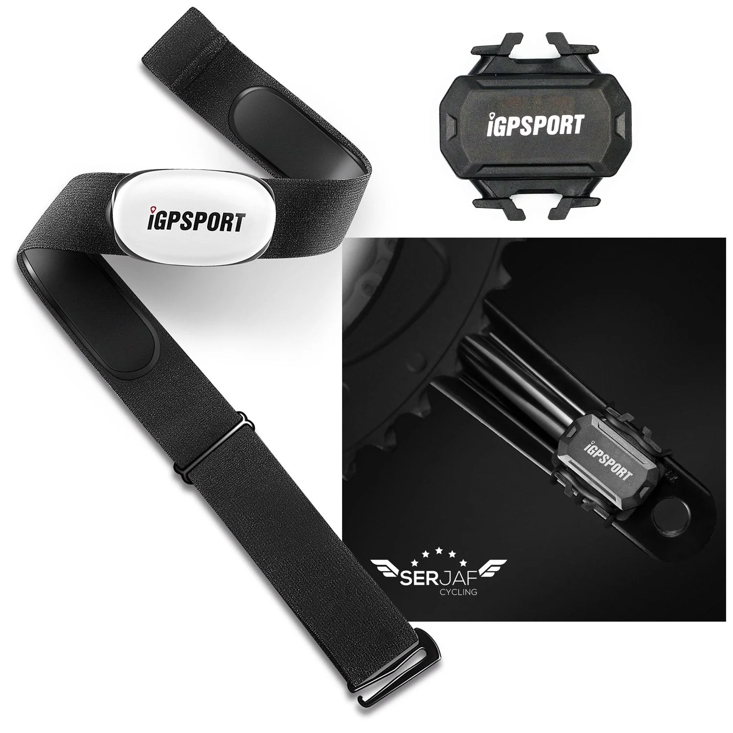 Pack Banda Cardiaca y Sensor Cadencia iGPSPORT