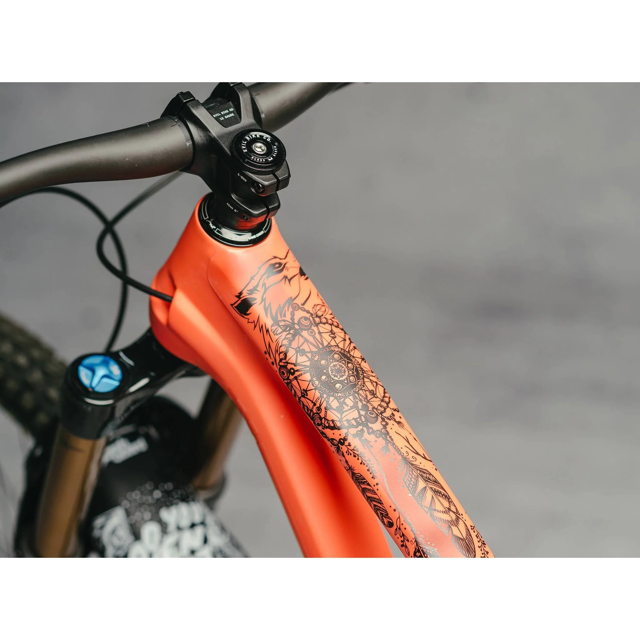 Protector Cuadro Bicicleta Pro Full Dream Catcher Negro DyedBro
