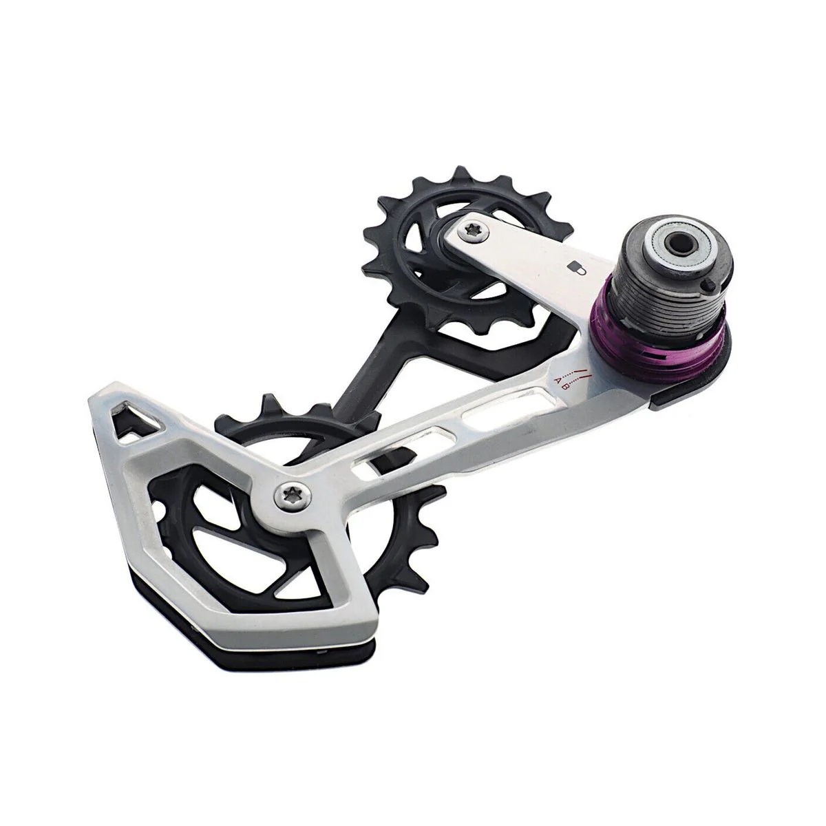 Sram Repuesto XX T-Type Kit Montaje Jaula AXS