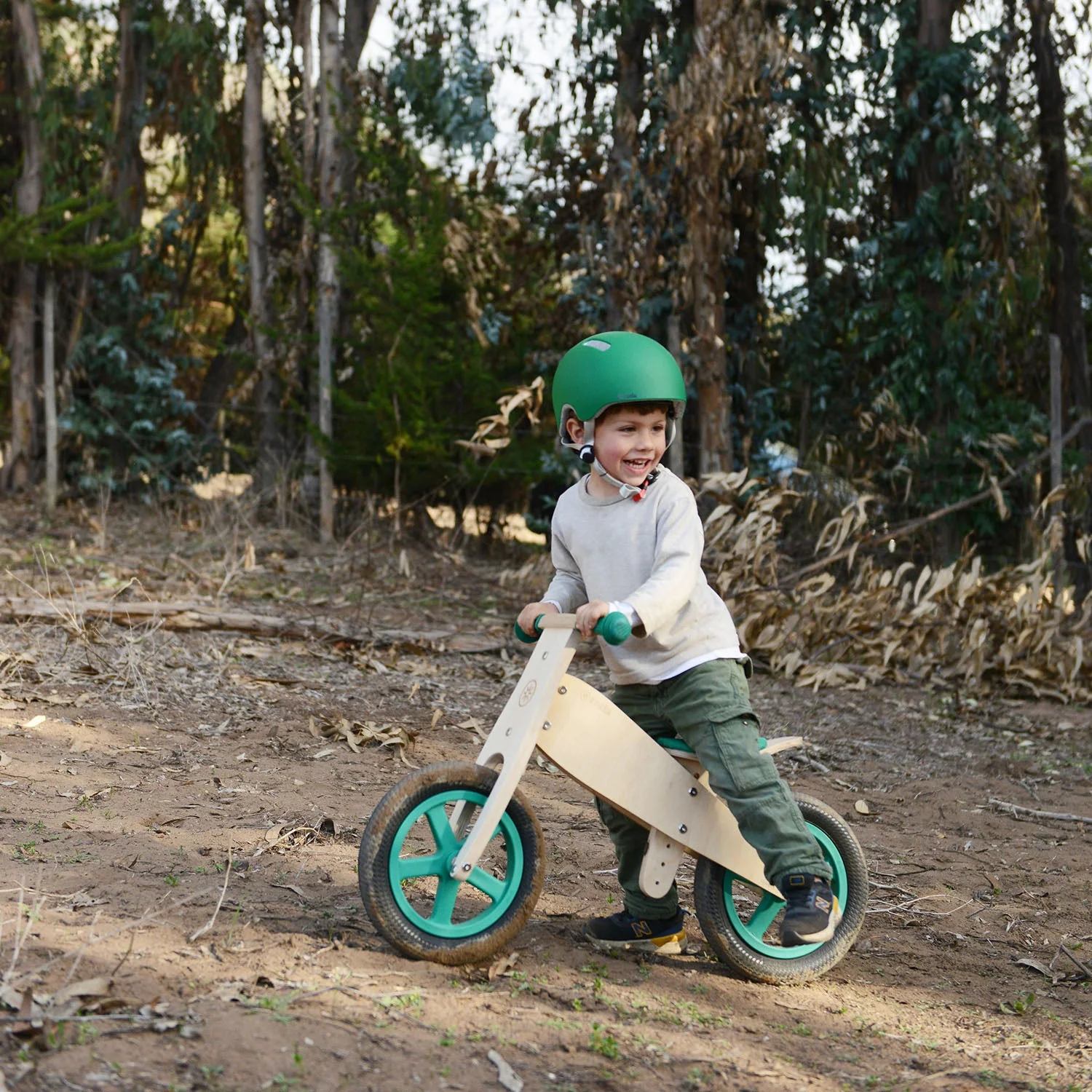 Roda Bicicleta Clasica Verde - Image 2