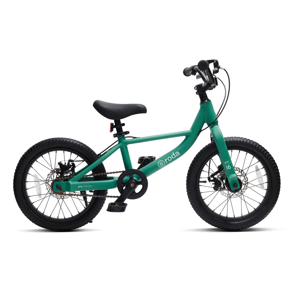 Roda Bicicleta PRO Aro 16 Verde