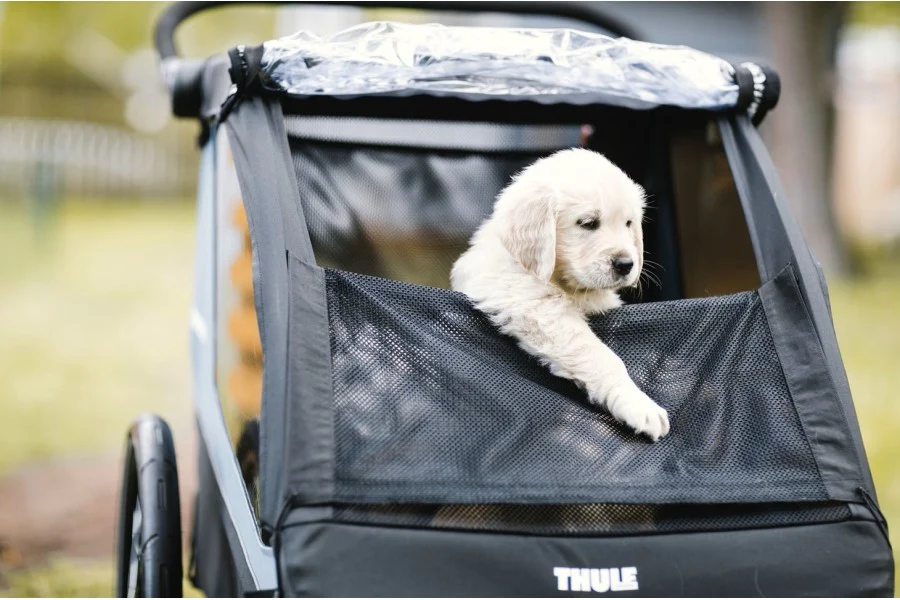 Thule Kit Adaptador Cubierta + Cama para Perros - Image 3