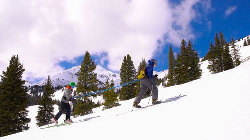 Tow-Whee 4 Season Blue - Image 5