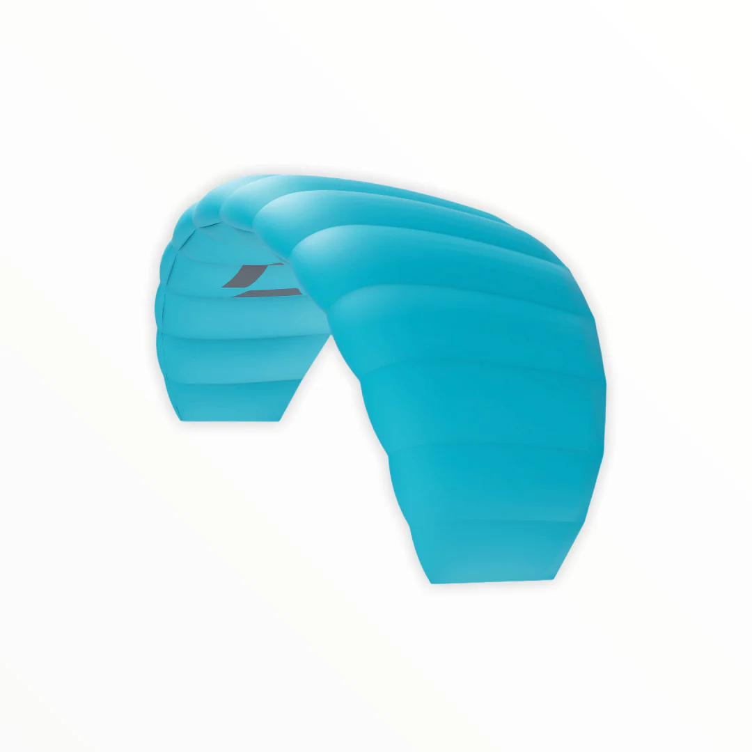 Duotone Trainer Lizard Kite Ss21